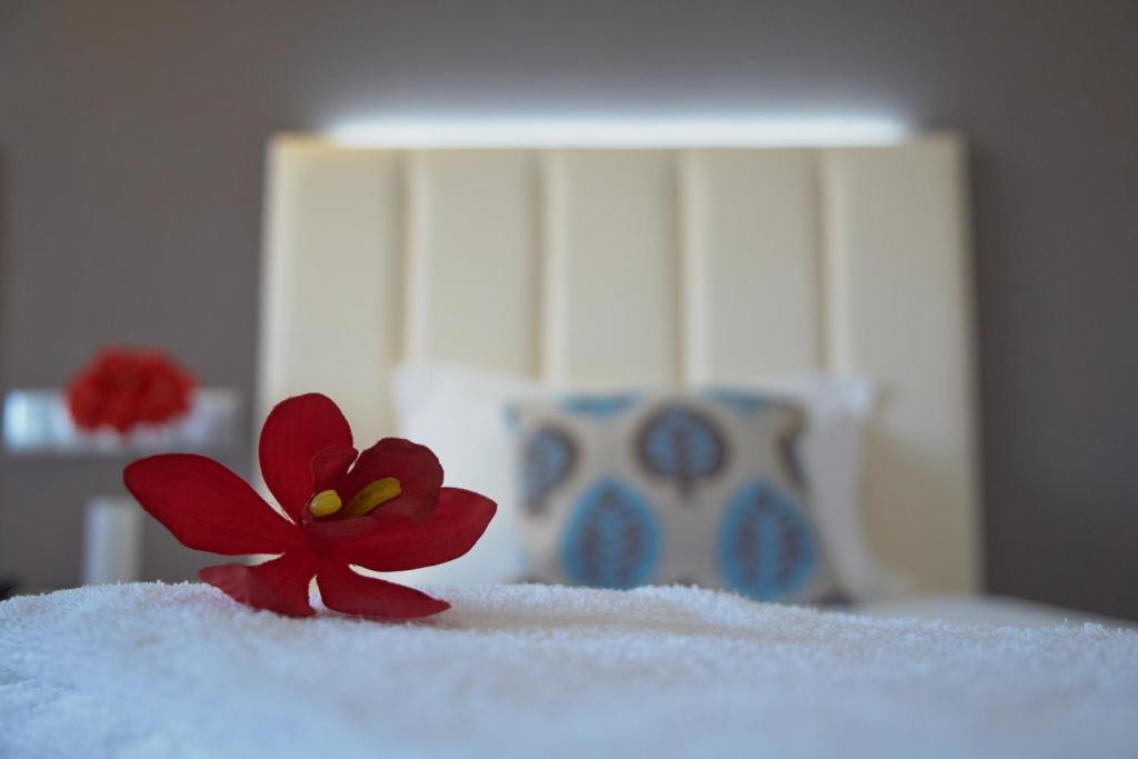 Hotel Azinheira By Ridan Hotels Fátima Oda fotoğraf
